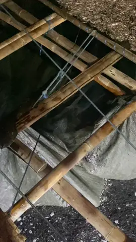 sisa kemaren dpt rule bolong😅😇🤲🏻#bagangtancap #majujaya01 #masukberanda #storylaut⚓ #lure 