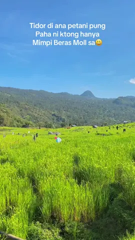 #promomakanharian #fyppppppppppppppppppppppp #nttpride🏝🔥kupangntt💯fpy💖 