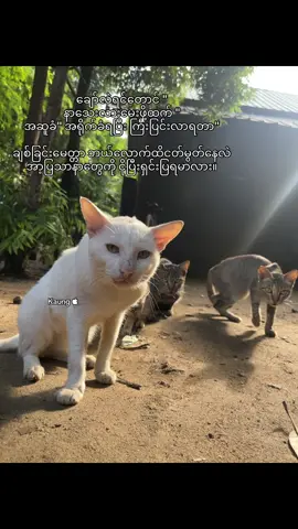 ချစ်ခြင်းမေတ္တာ ငတ်မွတ်နေသူတစ်ယောက်အဖို့ ဒဏ်ရာကလွှဲပြီးဘာများရှိမလဲ💔#Fyp #foryou #tiktok #fyp #moots? 