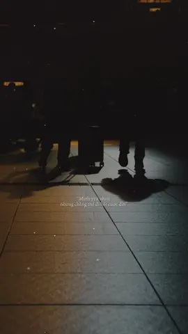 Ta lạc nhau giữa đời … #trandat616 #25sent #capcut #capcutpioneer #pioneertemplate 