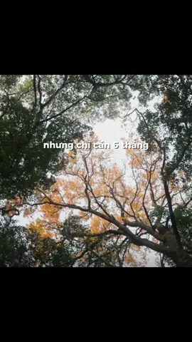 Tập trung 6 tháng > vật vờ 5 năm #999loihuavoibanthan #BookTok #phattrienbanthan #loikhuyen #xuhuong 