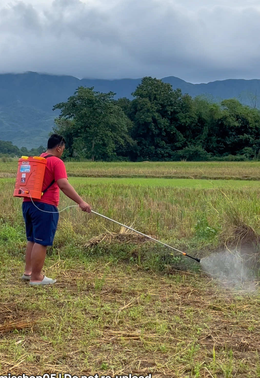 Retractable Spraying Rod 100+ sa yellow basket. Checkout na ka-farmers! #spray #telescopic #rod #sprayingrod #fyp 