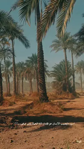 اسوء مايصيب الانسان هو فقدان لذة الحياة بعمر صغير🤍#اقتباسات_عبارات_خواطر🖤🦋❤️ #تصويري📷 #اصحاب_العبارات_الفخمه_التعليقات_لكم،💔🥀 #مالي_خلق_احط_هاشتاقات #الشعب_الصيني_ماله_حل😂😂 