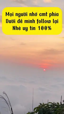 Ngày thứ 2 xây kênh . Các bác đi qua cho e xin 1 fl nhé ạ 🥰#nguoimoixaykenh #tapxaykenh #trending #xuhuong2025 #thinhhanh 