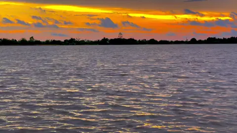 Vạn sự tuỳ duyên🥰🌾#chil #binhyen #muanuocnoi #canhdep #xuhuongtiktok 