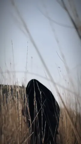 Thomas Shelby Mafiz🥷🔱🥷#hassam_yousafzai #viralvideo #foryourpage #trendingvideo #2million 