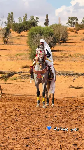 #يسلم_الرايس_وحصانه  #الله_يبارك😉❤️🖐🏻 #ربي_يبارك_في_ارزاق_الجميع 