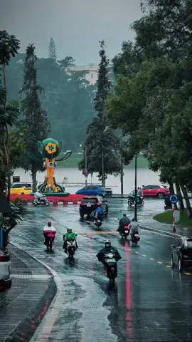 Đà Lạt hôm nay #thoitietdalat #tourdalat #dalat #sanmaydalat #vitamindalat 