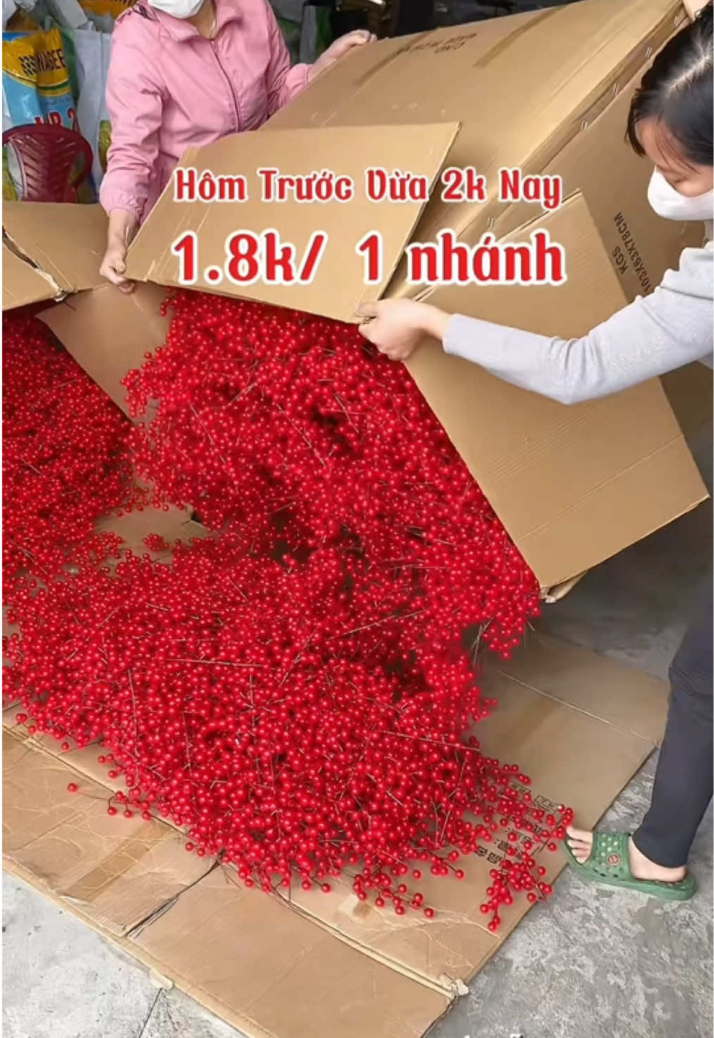 Đào đông nhánh sẵn hàng phục vụ trang trí Noel, trang trí Tết #trangtri #daodongdo #phukientrangtritet #hoatet 