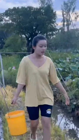 Buổi sáng sớm đi thăm lợp lò xo ngoài đồng lúa cùng Ba được 1 thùng cua cá. #gaithonque #batcamientay #thonnumientay #gaiquemientay #gaique 