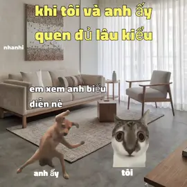 khi tôi và anh ấy quen đủ lâu kiểu #meme #catmeme #xh 