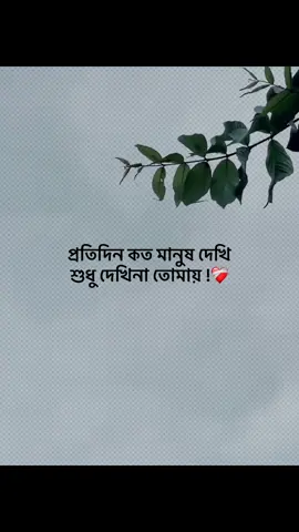 প্রতিদিন কত মানুষ দেখি শুধু দেখিনা তোমায় !❤️‍🩹#foryou #trending #banglacaption #popularvedio #captionvedio 
