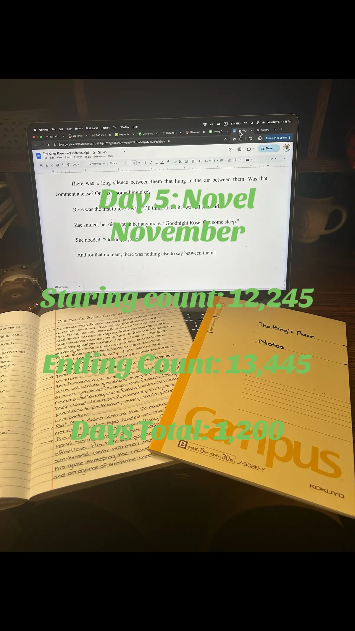 Day 5 is in the books! The most number of words I have written to date!! At this point, I hope to have everything transcribed from my handwritten notes by the end of the month. Stay tuned for more! #fyp #authorsoftiktok #indieauthor #novelnovemberchallenge #BookTok 