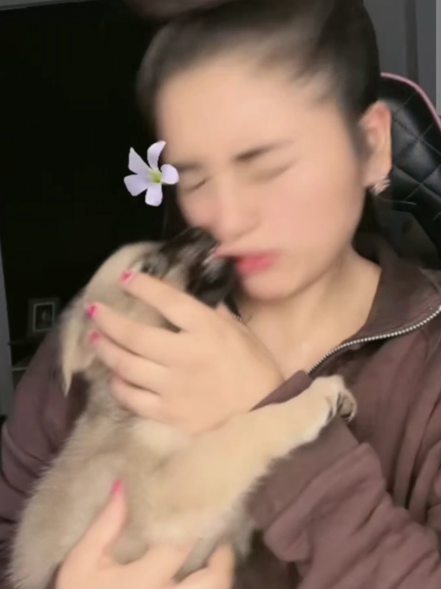 #isavela🐥 #sandravela #viraltiktok #pyf #humor 