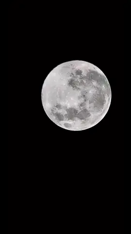 November 2025 Super Full Moon ( Beaver Moon )  #fullmoon #supermoon #moon #daddymac1115 