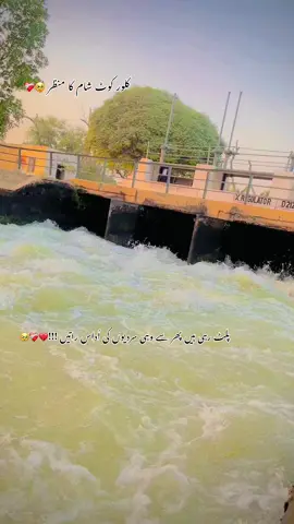 اُداس شام 🥹❤️‍🩹#