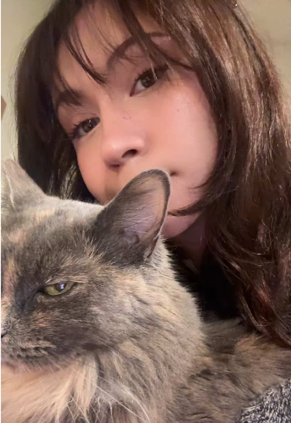 I think she likes to sleep even more than I do 🤭 #cat #fyp #catsoftiktok 