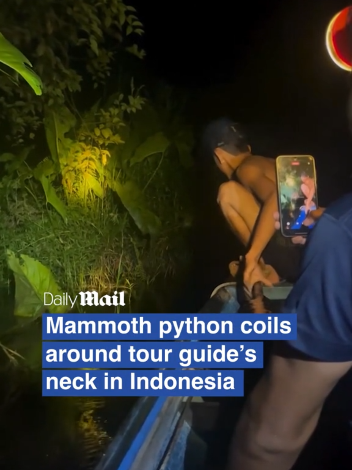 Heru, an experienced snake catcher, was part of a group travelling down a river on the island of Borneo. In terrifying footage of the near-death experience, the snake is seen pulling him off the boat and into the water, where he disappears under the surface. It took two men, one holding the python's head and another its tail, to finally free Heru from its grasp.  #wildlife #snake #scary #python #news #australia #fyp