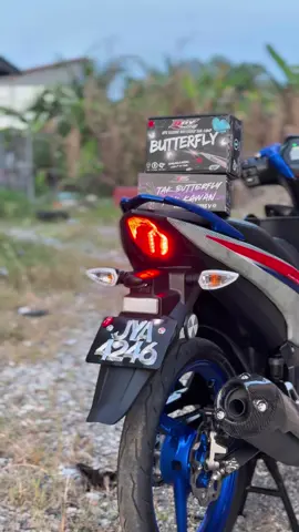 8 Mode Butterfly Lampu PNP LC135 V8 / Y16ZR #lc135v8butterflylampu #apxlampubutterfly #y16lampubutterfly #lcv8lampubutterfly #lampubutterfly 