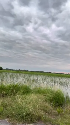 #Birdอู่เถื่อน 🫣♥️♥️♥️ #ฟีดดดシ ♥️♥️♥️♥️♥️