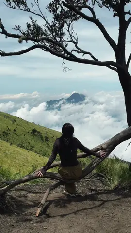 I think about leaving sometimes. I would go anywhere as long as it is not Sidoarjo.  #trekking #Hiking #travel #pendakigunung #merbabu 