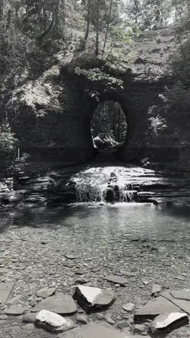 වෙන මුකුත් නිසා නෙමෙයි මගේ මානසික නිදහස වෙනුවෙන්.. @Life of DK ✨ #manasikanidahasa #sinhalatiktok #sinhalatiktok #lifequote #selflovejourney 