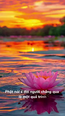 Đời người là một quá trình #lungchung #phat #phatphap #phatphapnhiemmau  