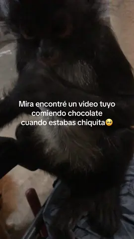 Mándaselo a alguien q te recuerde 🥹#monki #monkibebe🙈♥️😻 #nuevolaredo🇲🇽 #paratiiiiiiiiiiiiiiiiiiiiiiiiiiiiiii 