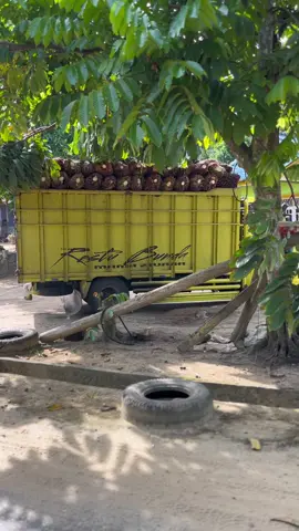 Keluar kandang🚀🔥🔥