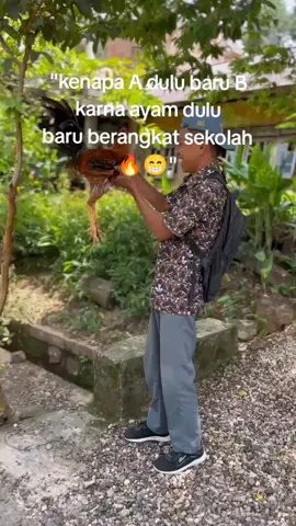 01 yang stel😅 #ayamfilipine🇵🇭 