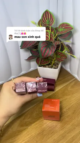 Trả lời @Shop đồ đẹp🛒🛍️🛍️   Mày nào cũng xinhhh #sonnhungbeskin #beskin #sonnhung #sonmoi #beauty 