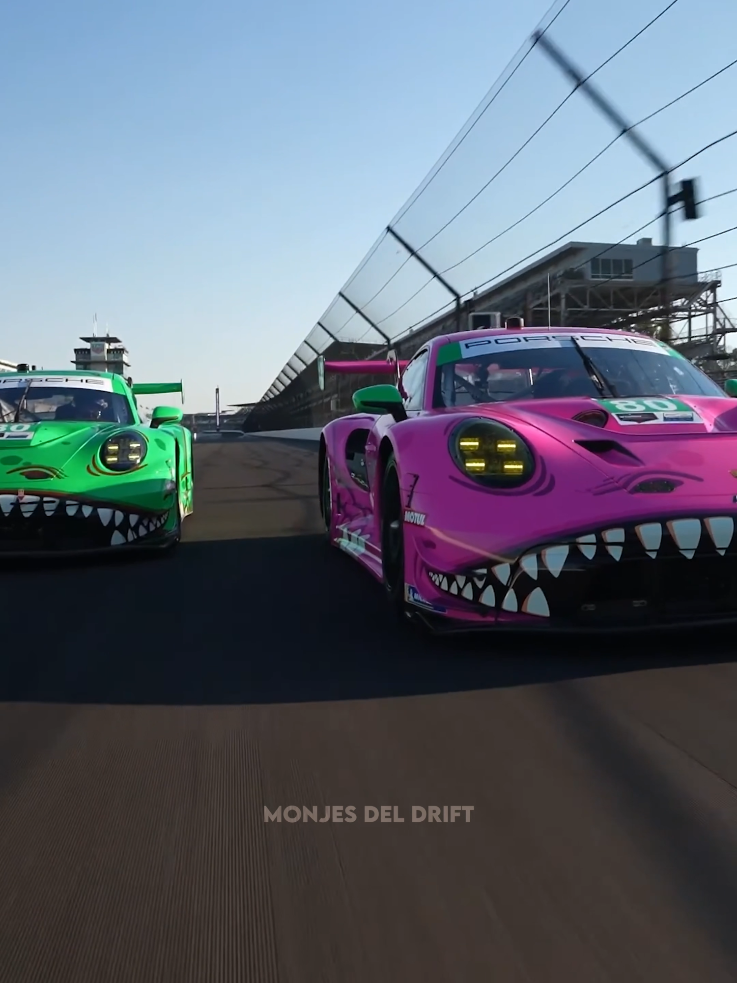 🐊 Track Monsters — Rexy 💚 & Roxy  🩷 #rexy #porsche #roxy #porsche911 #racecars