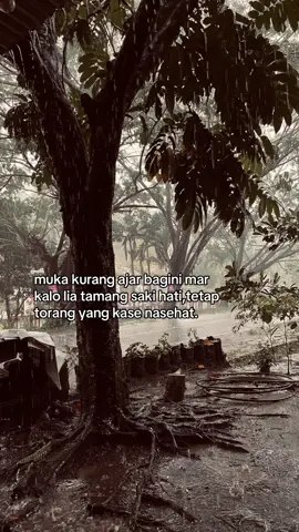 #manadostory #katakata #fyp #masukberanda #manadotiktok 