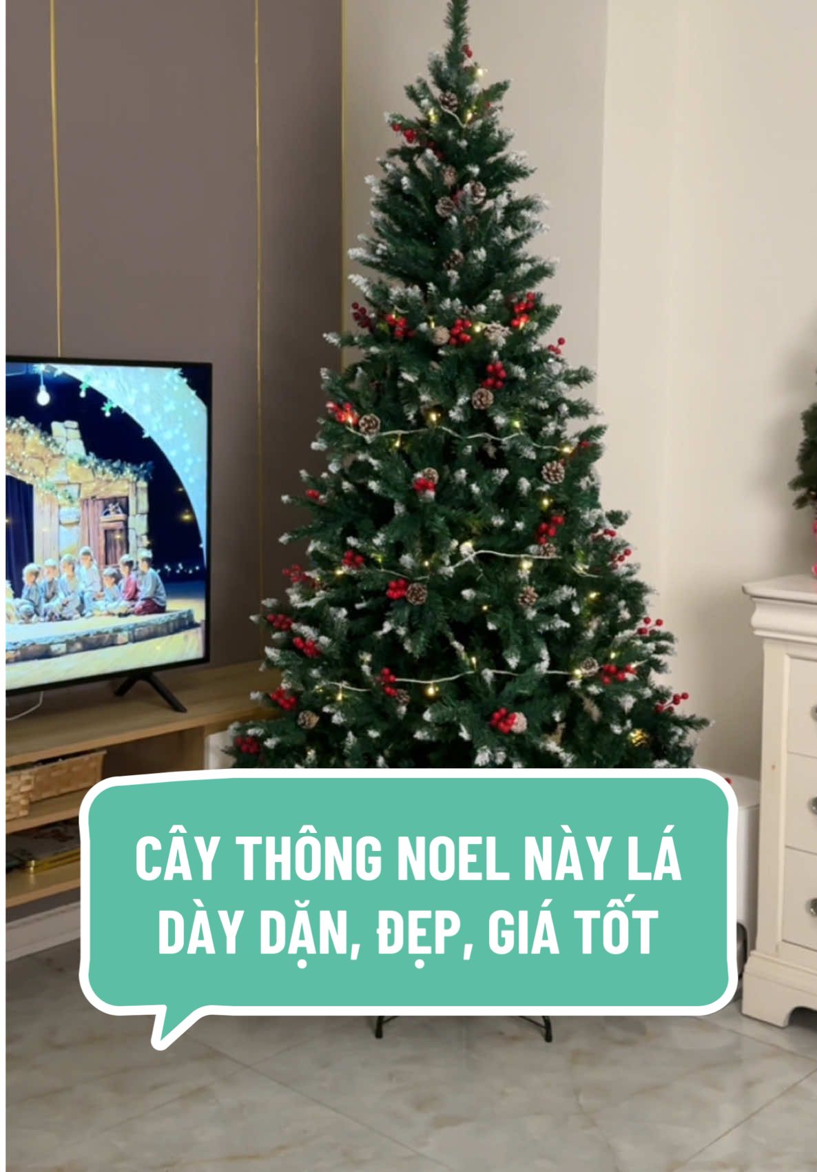 Cây thông Noel này lá dày dặn, đẹp, giá tốt nha #caythongnoel #noel #giangsinh #nhacuadoisong #trangtrigiangsinh 