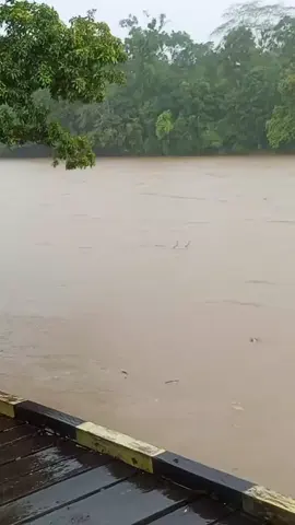 sosok naga di sungai Kalimantan,apa kalian melihat nya#fyp #fyppppppppppppppppppppppp