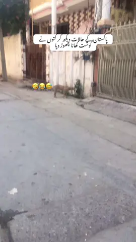 Agar share nahi karni to tiktok chor do #reposttiktok