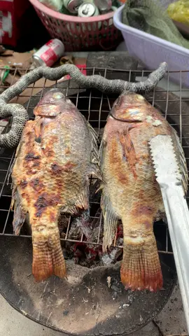 Ở quê có gì thì mình ăn đó ☺️#xuhuongtiktok #trending #mientay #monngonmoingay 