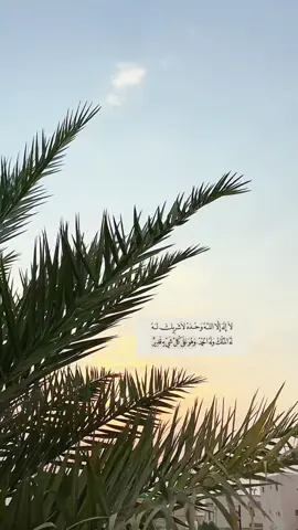 #قران_كريم #صباح_الخير #اكسبلورexplore 