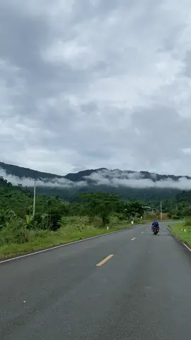 ភ្នំ1500 ស្រុកវាលវែង ត្តេខពោធិ៍សាត់✌️🌳☘️