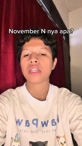 November N nya….#hindia #fyp 
