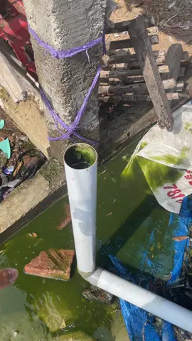 #fyp #fyppppppppppppppppppppppp #lele #ternakle #pemula 