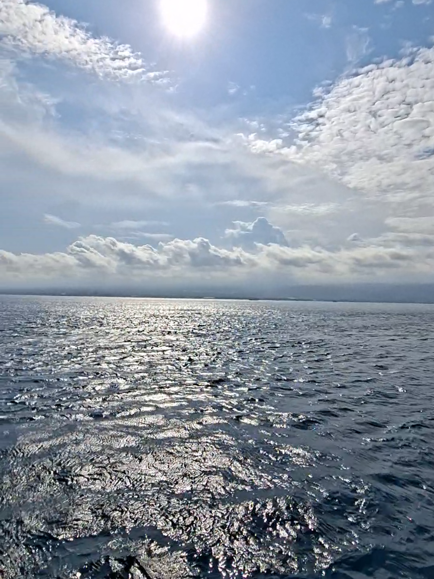 sampai jumpa bulan depan #pulaudewata #pelabuhangilimanuk #harmettrans #fyp #fypage 