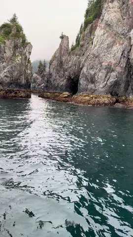 Full peace  #alaska #kenaifjordsnationalpark  #traveltiktok 