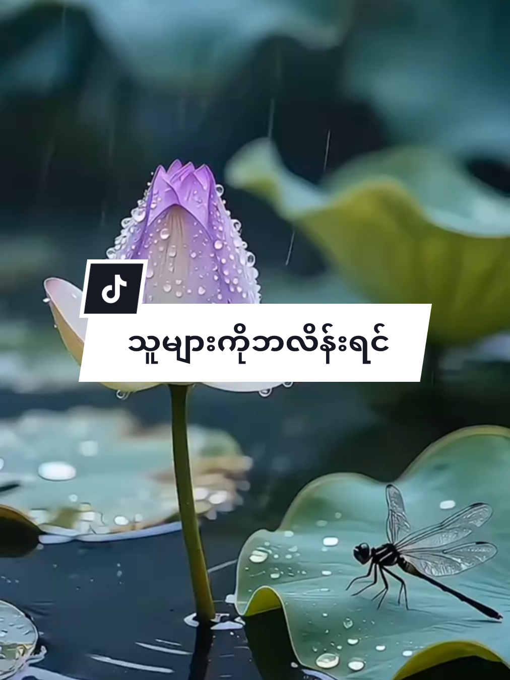#myanmar #fyp #တရားတော်များ #အရှင်နန္ဒမာလာဘိဝံသ #myanmartiktok🇲🇲🇲🇲 