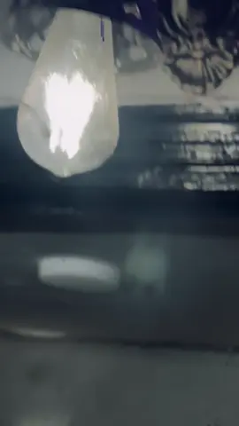 صاحب الترند بيمسي عليكو💋🔥❤️