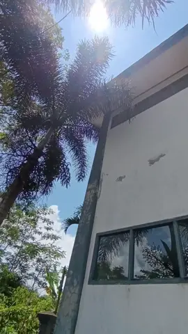 halow media👋🏻 #sonicthehedgehog #sonictasik🏴‍☠️ #sonicadit #sonicbaik 