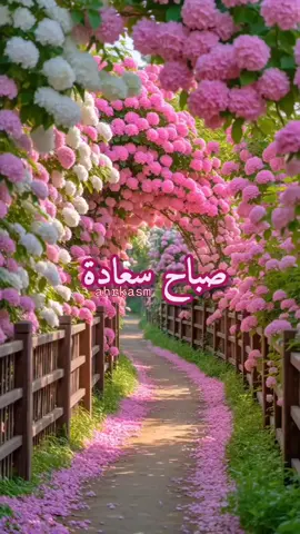 اللهم اكفنا شر تقلب الايام ،وفواجع الأقدار ،وشر ما لم نستطع عليه صبراً 🌹🌿#صباحكم_سعاده #اللهم_بك_اصبحنا #اصباحنا_و_اصبح_الملك_لله #صباح_الخيِر #صباح_الورد 