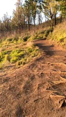 lawu so beautiful #fyp #fyppppppppppppppppppppppp #masukberanda #mountain #pendakigunung 