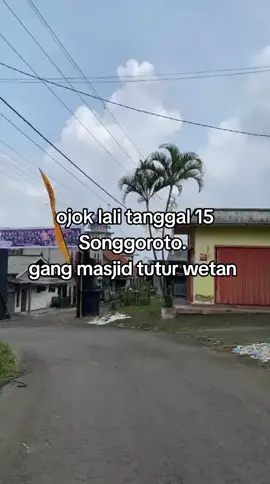 bunderono tanggale cah #songgoroto #tuturwetan #nongkojajar24jam #fyppppppppppppppppppppppp 