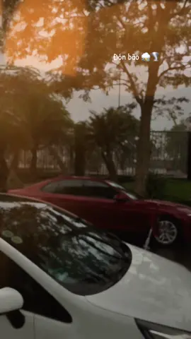 Tránh Bão 🌪️🌪️  #CapCut  #hoangvietschool #fyp #viral #bão 